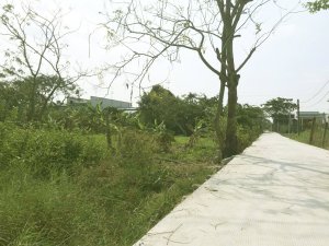 500 m2 đất vườn Cần Giuộc, Trị Yên Riverside, chỉ 2.6 tr/m2